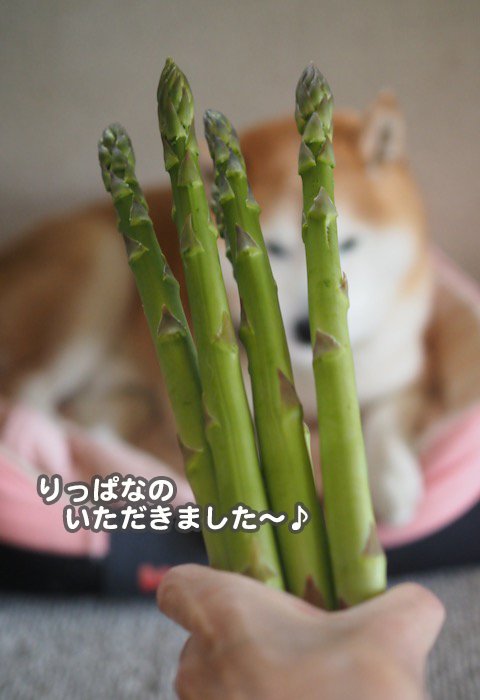 25日夕ブログ７