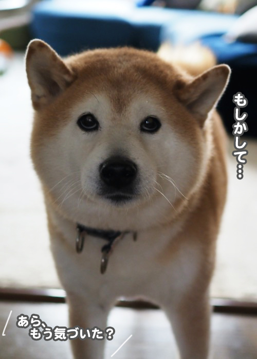 7日夕ブログ２