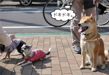 4日ブログ20.jpg