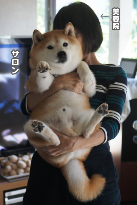 5日夕ブログ７
