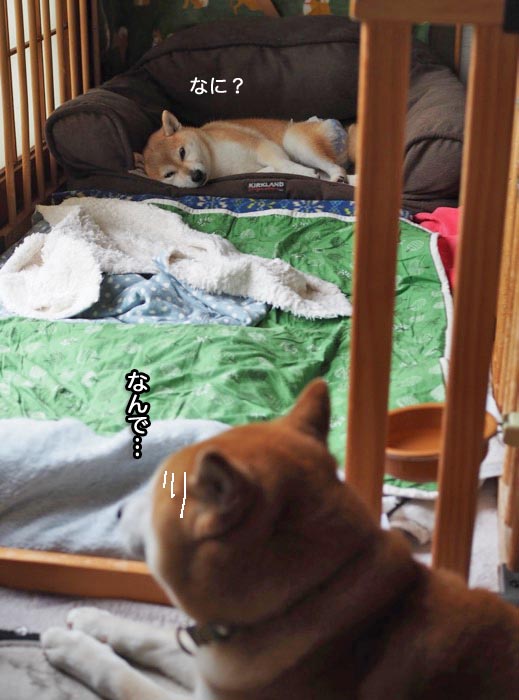 10日ブログ４