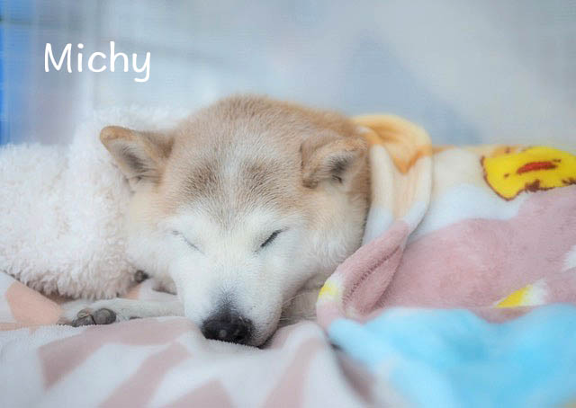 29日夕方1
