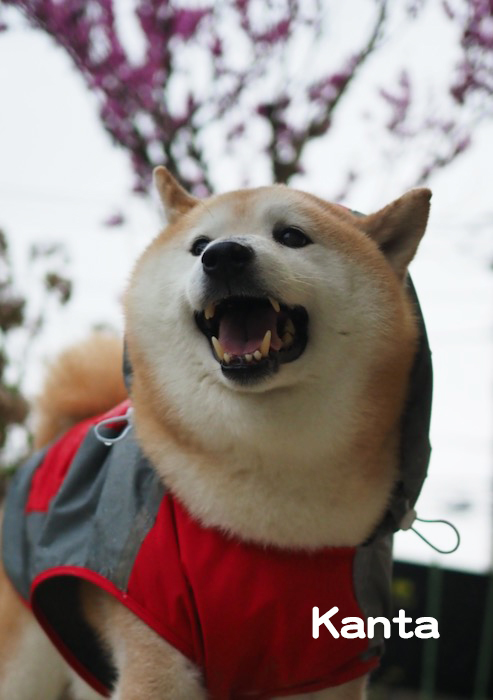 26日ブログ３