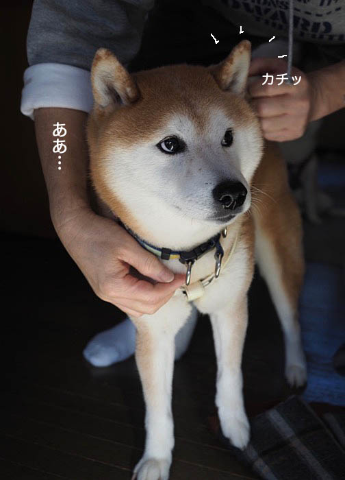 30日ブログ５