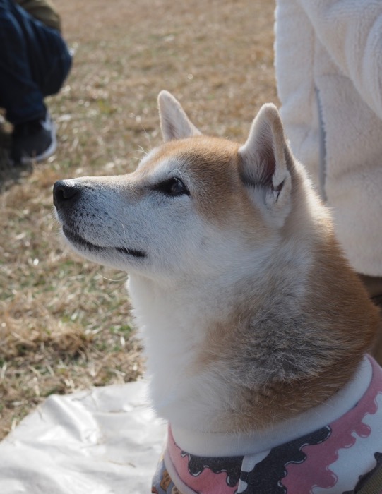 13日ブログ１２