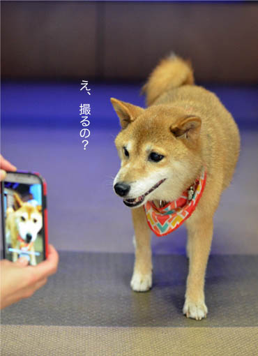 28日ブログ8.jpg