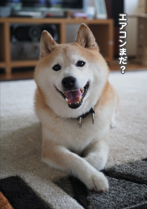 13日ブログ3
