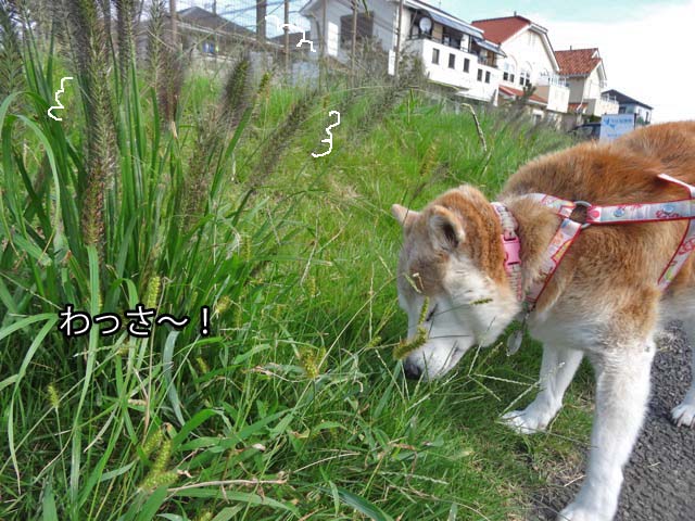 14日ブログ2