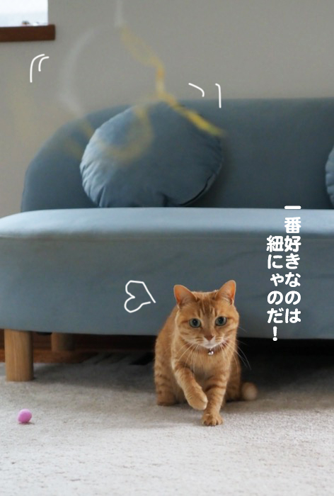 9日夕ブログ１２