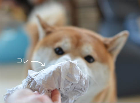25日ブログ8.jpg