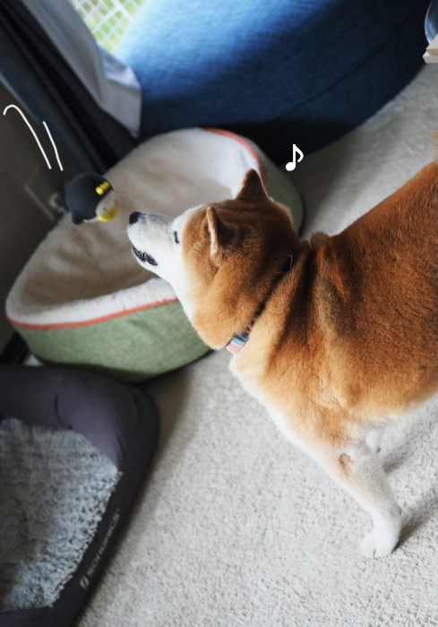 22日ブログ４