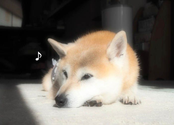 29日ブログ５