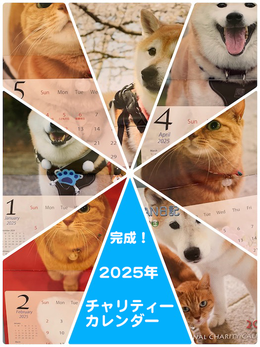 15日夕ブログ４