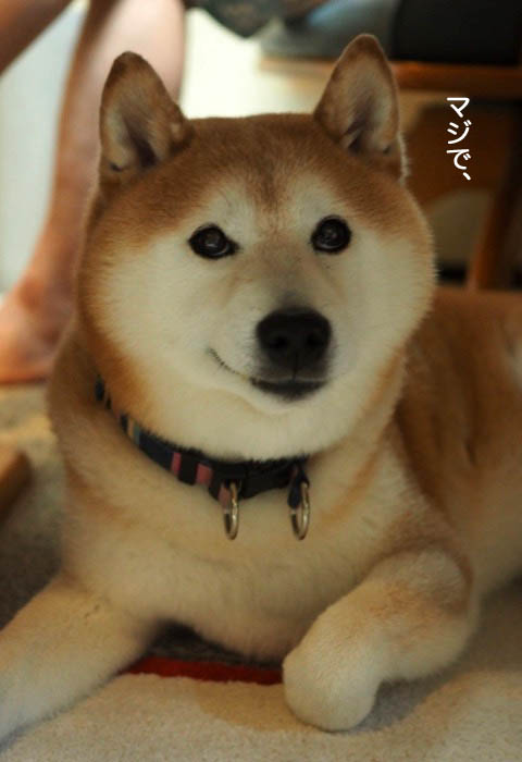 24日夕ブログ９
