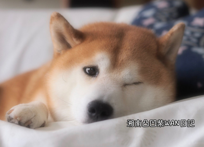 10日ブログ6