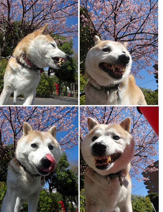 5日ブログ6.jpg