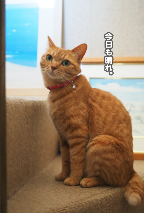 5日ブログ２