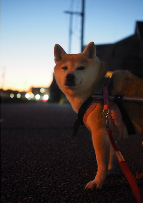 12日ブログ２