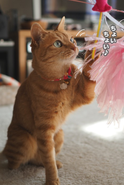 12日夕ブログ３