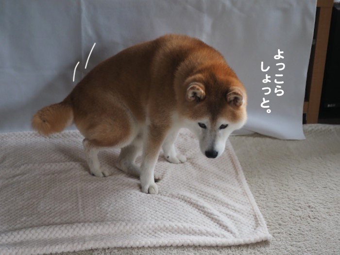 13日ブログ２