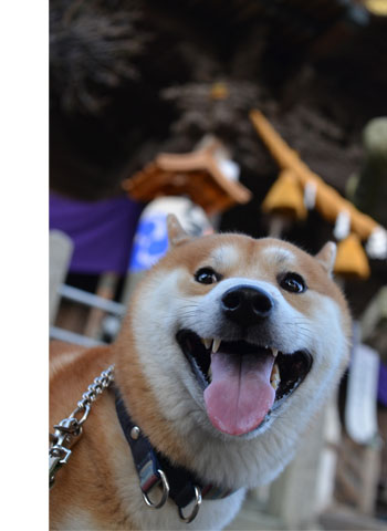 7日ブログ17.jpg