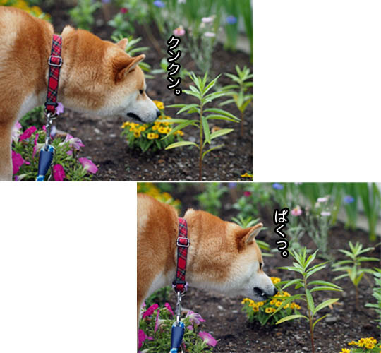 23日ブログ2.jpg