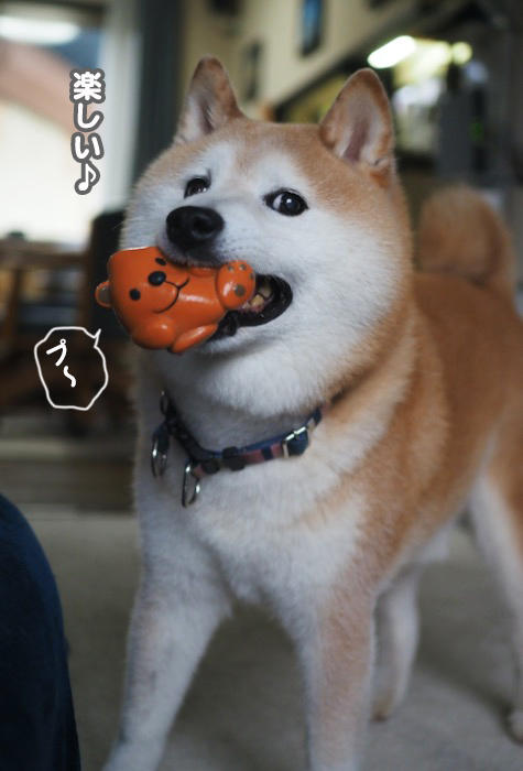 16日夕ブログ４