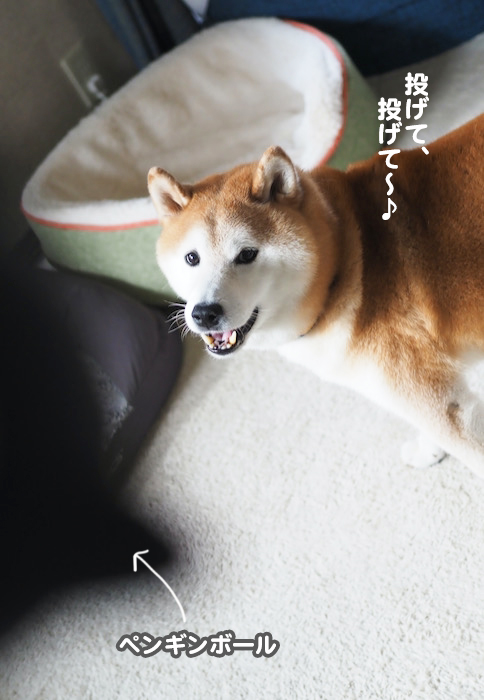22日ブログ２