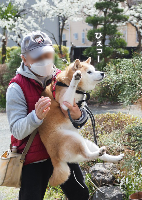 8日夕ブログ３