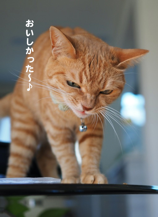 13日夕ブログ１０