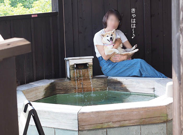 30日動画ブログ