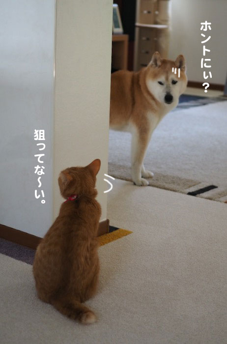 7日ブログ3