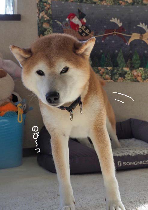 6日夜ブログ９