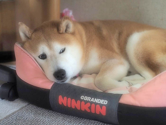 14日夜ブログ3