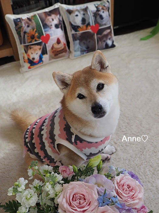 13日ブログ２