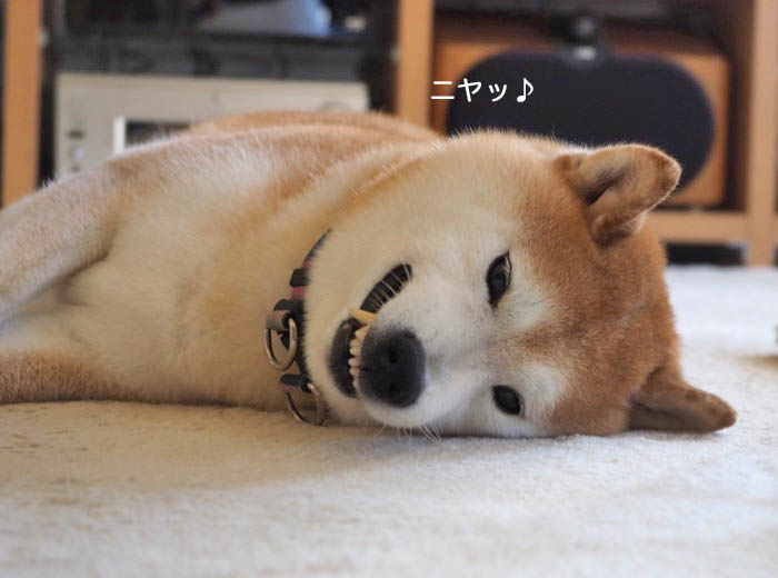 7日ブログ１０
