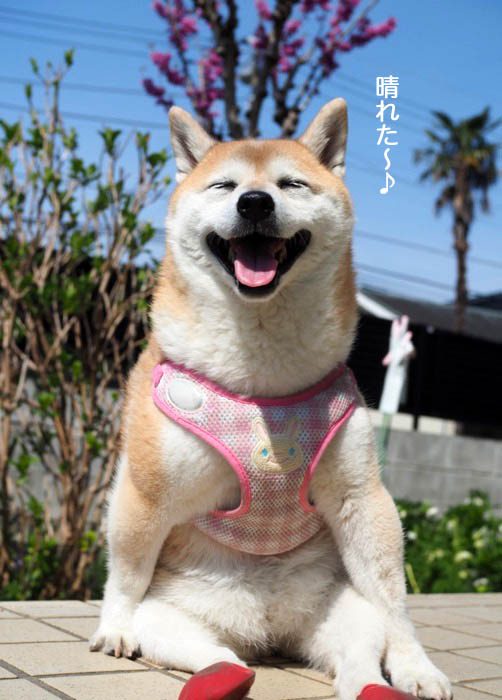 29日ブログ２