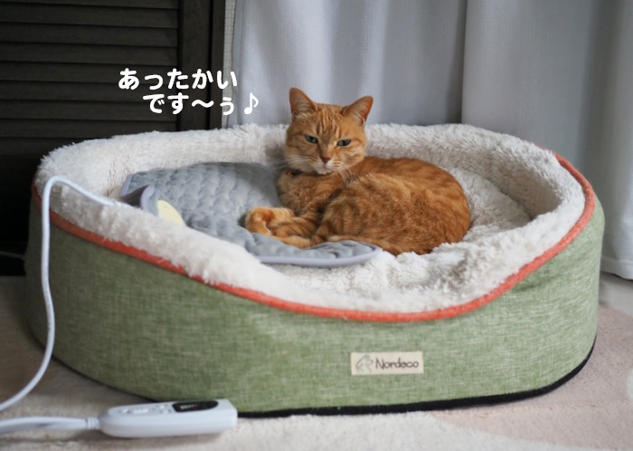 1日ブログ3