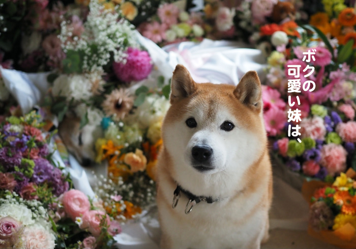 16日夕ブログ２