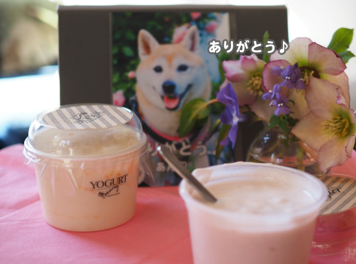 3日ブログ4