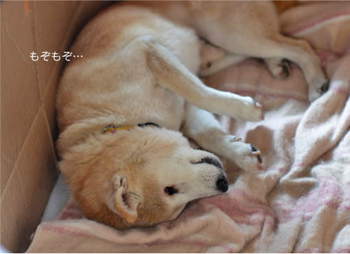 27日ブログ4.jpg