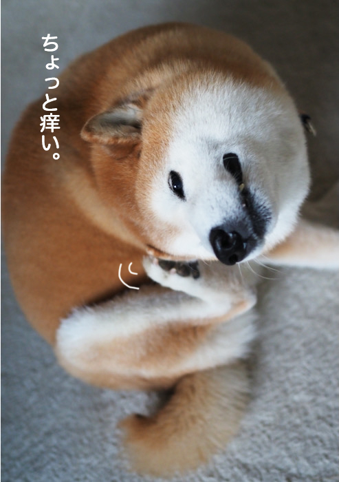 11日夜ブログ７
