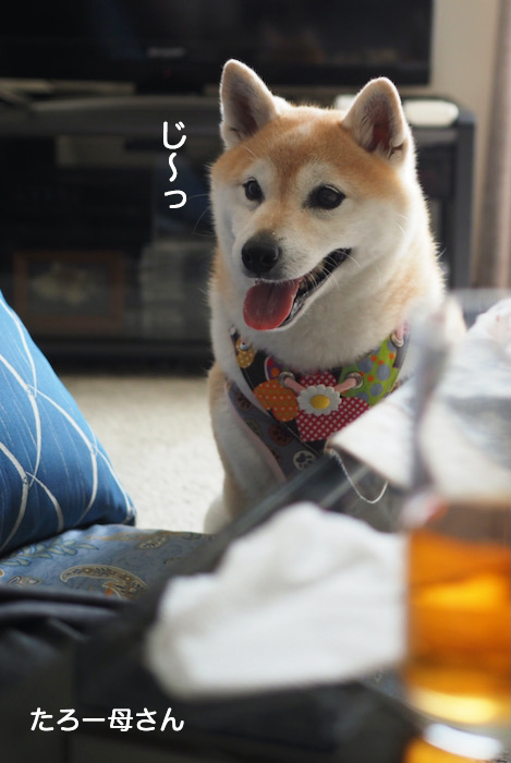16日夜ブログ５