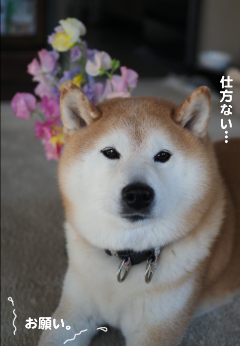 4日ブログ３
