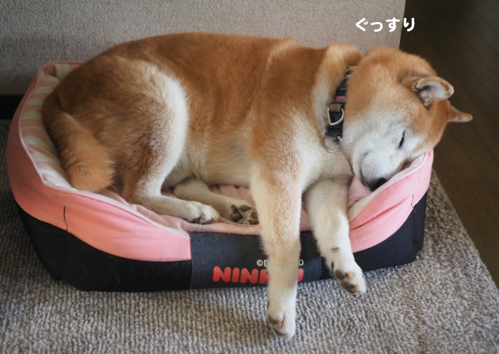 4日ブログ１