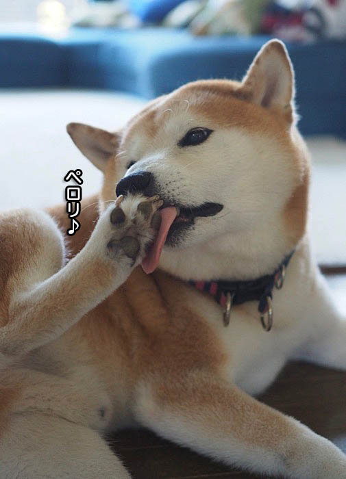 31日ブログ６