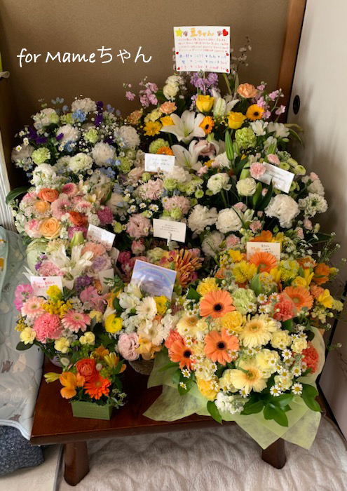 29日夕ブログ３