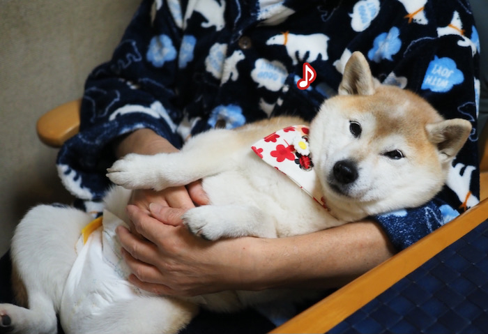 5日ブログ３