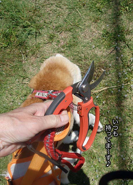 22日ブログ3