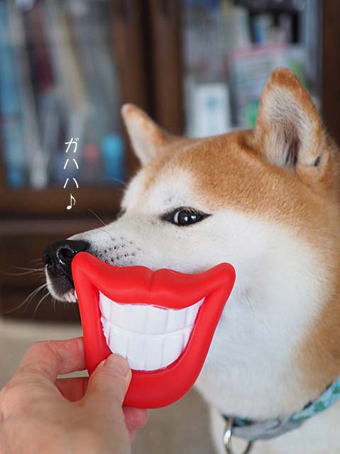 8日ブログ5